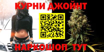 крисы Ирбит