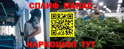 крисы Ирбит