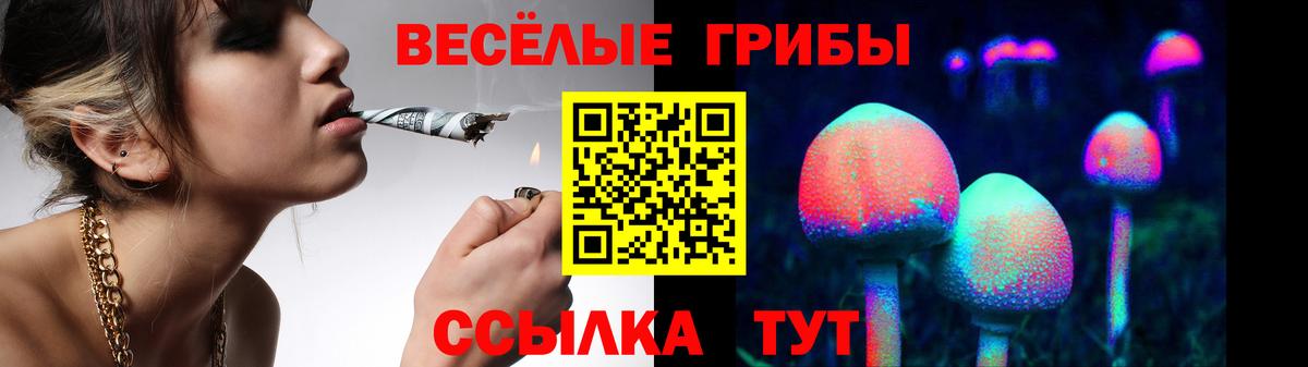 Псилоцибиновые грибы Cubensis Вологда